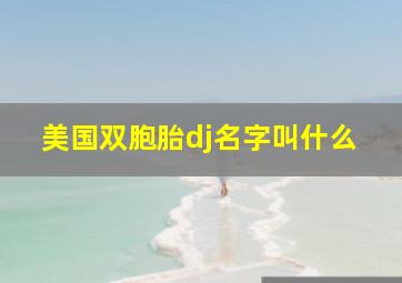 美国双胞胎dj名字叫什么