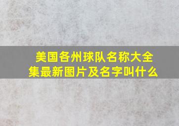 美国各州球队名称大全集最新图片及名字叫什么