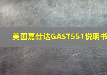 美国嘉仕达GAST551说明书