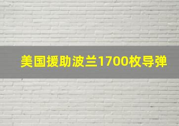 美国援助波兰1700枚导弹