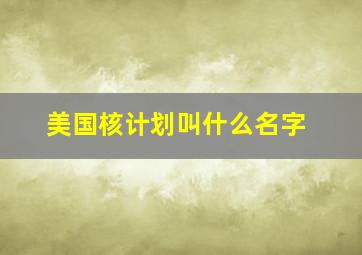 美国核计划叫什么名字