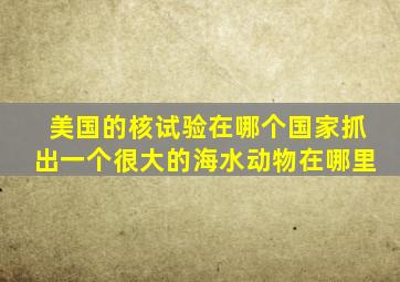 美国的核试验在哪个国家抓出一个很大的海水动物在哪里