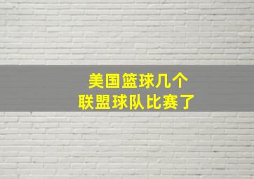 美国篮球几个联盟球队比赛了