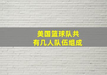 美国篮球队共有几人队伍组成