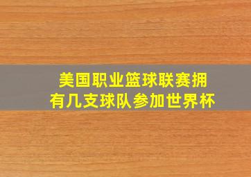 美国职业篮球联赛拥有几支球队参加世界杯