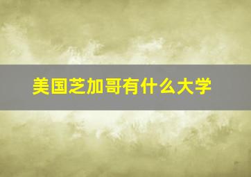 美国芝加哥有什么大学