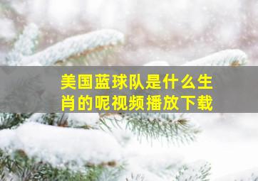 美国蓝球队是什么生肖的呢视频播放下载