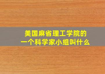 美国麻省理工学院的一个科学家小组叫什么