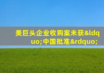 美巨头企业收购案未获“中国批准”