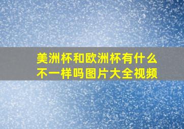 美洲杯和欧洲杯有什么不一样吗图片大全视频