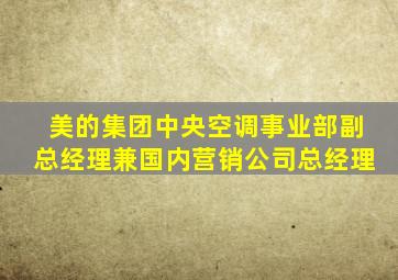 美的集团中央空调事业部副总经理兼国内营销公司总经理