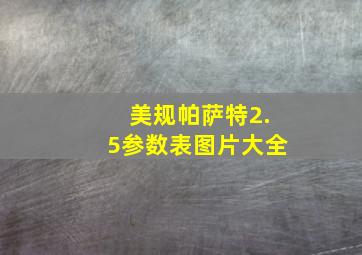 美规帕萨特2.5参数表图片大全