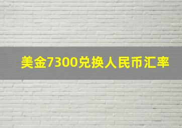 美金7300兑换人民币汇率