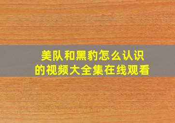 美队和黑豹怎么认识的视频大全集在线观看