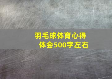 羽毛球体育心得体会500字左右