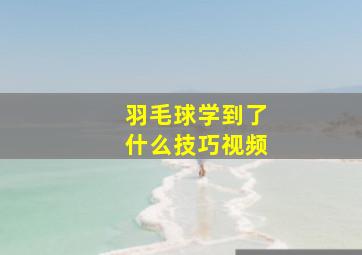 羽毛球学到了什么技巧视频