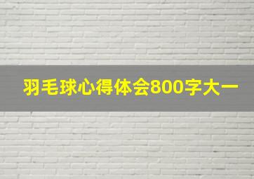 羽毛球心得体会800字大一