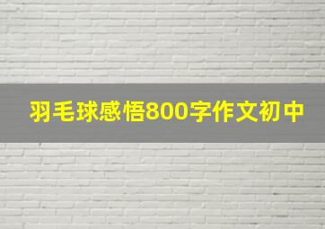 羽毛球感悟800字作文初中