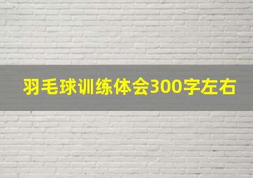 羽毛球训练体会300字左右