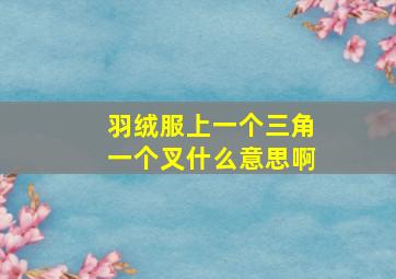 羽绒服上一个三角一个叉什么意思啊