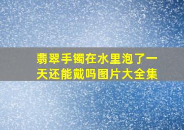 翡翠手镯在水里泡了一天还能戴吗图片大全集