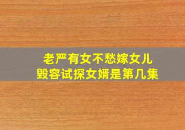 老严有女不愁嫁女儿毁容试探女婿是第几集