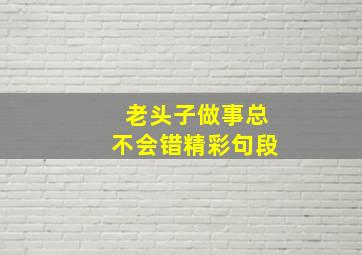 老头子做事总不会错精彩句段