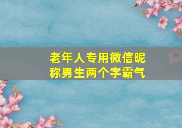 老年人专用微信昵称男生两个字霸气