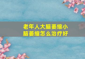 老年人大脑萎缩小脑萎缩怎么治疗好