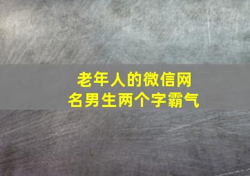 老年人的微信网名男生两个字霸气