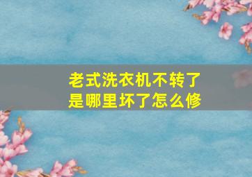 老式洗衣机不转了是哪里坏了怎么修