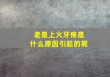 老是上火牙疼是什么原因引起的呢