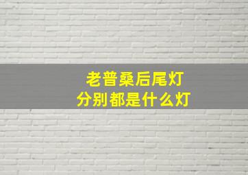 老普桑后尾灯分别都是什么灯