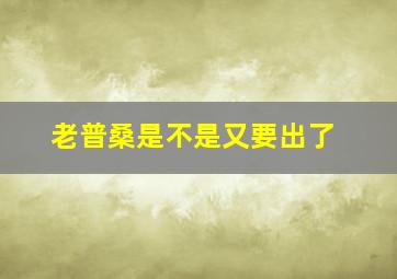 老普桑是不是又要出了