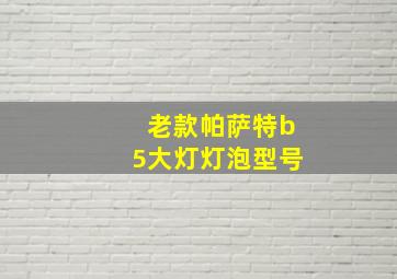 老款帕萨特b5大灯灯泡型号