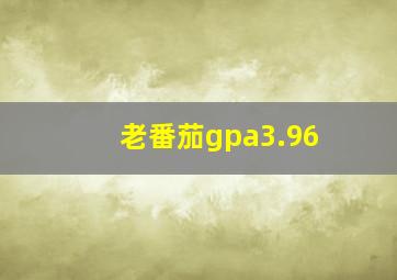 老番茄gpa3.96