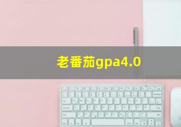 老番茄gpa4.0