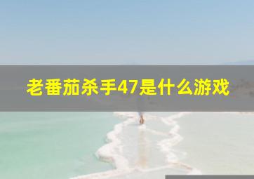 老番茄杀手47是什么游戏