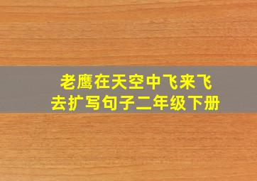 老鹰在天空中飞来飞去扩写句子二年级下册