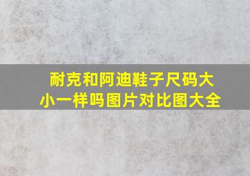 耐克和阿迪鞋子尺码大小一样吗图片对比图大全