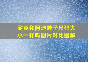 耐克和阿迪鞋子尺码大小一样吗图片对比图解