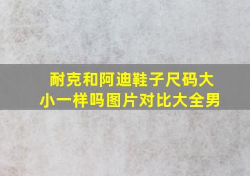 耐克和阿迪鞋子尺码大小一样吗图片对比大全男