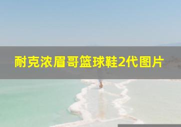 耐克浓眉哥篮球鞋2代图片