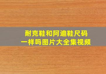 耐克鞋和阿迪鞋尺码一样吗图片大全集视频