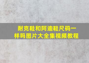 耐克鞋和阿迪鞋尺码一样吗图片大全集视频教程