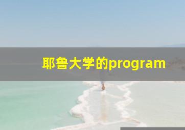 耶鲁大学的program