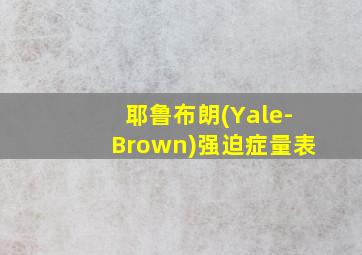 耶鲁布朗(Yale-Brown)强迫症量表