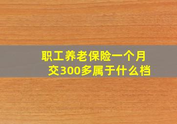 职工养老保险一个月交300多属于什么档