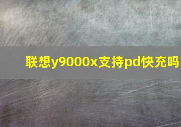 联想y9000x支持pd快充吗