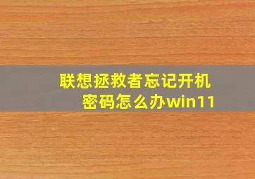 联想拯救者忘记开机密码怎么办win11